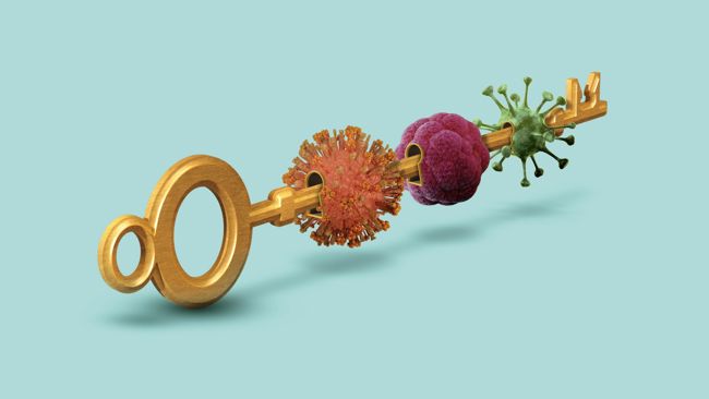 A golden key with colorful virus-like shapes along its shaft